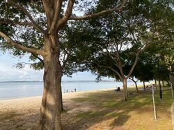 Blk 578 Pasir Ris Street 53 (Pasir Ris), HDB 5 Rooms #560433531